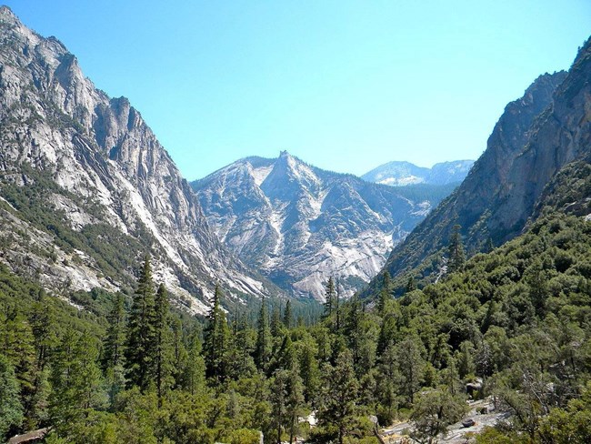 A canyon lined with coniferous trees, with rocky mountains on each side and in the background.