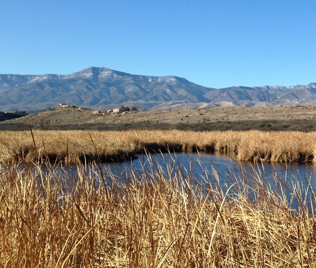 Wetland grasses and pond below a hill with pueblo ruins. Mountains in the far distance.