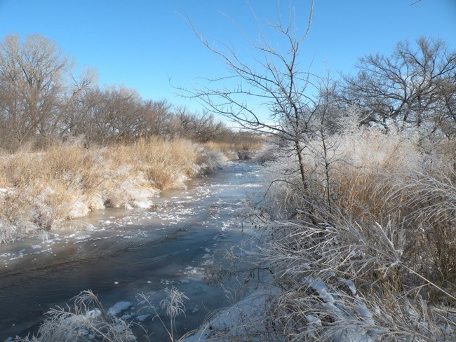 A small river runs through shrub-covered banks in winter.