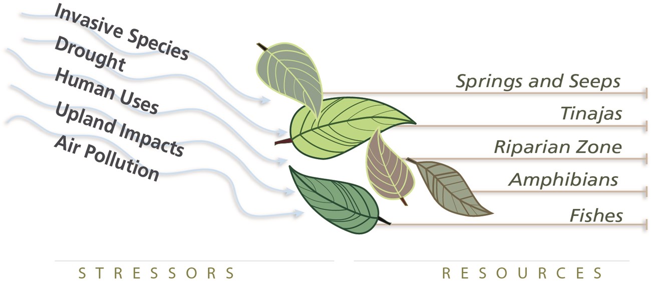 Leaves blowing in the wind representing resources being influenced by stressors.