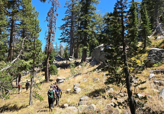 Trails group walking potential trail path near woods and boulders under blue sky.
