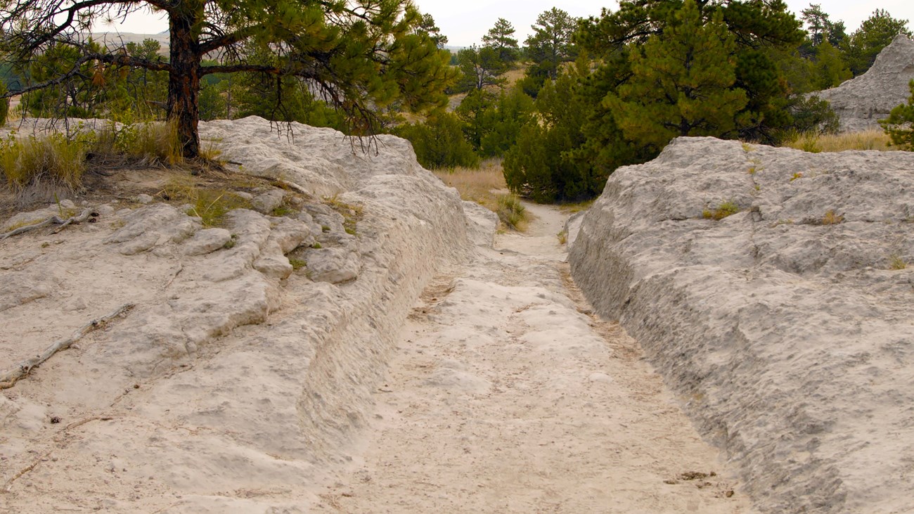 A channel 3 feet wide by 1 foot deep carved in white and gray rock, in a landscape of yellow grass and evergreen trees and shrubs.