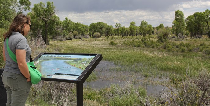 lt= Person standing in front of a marsh who is looking at a wayside panel that contains text and graphics.