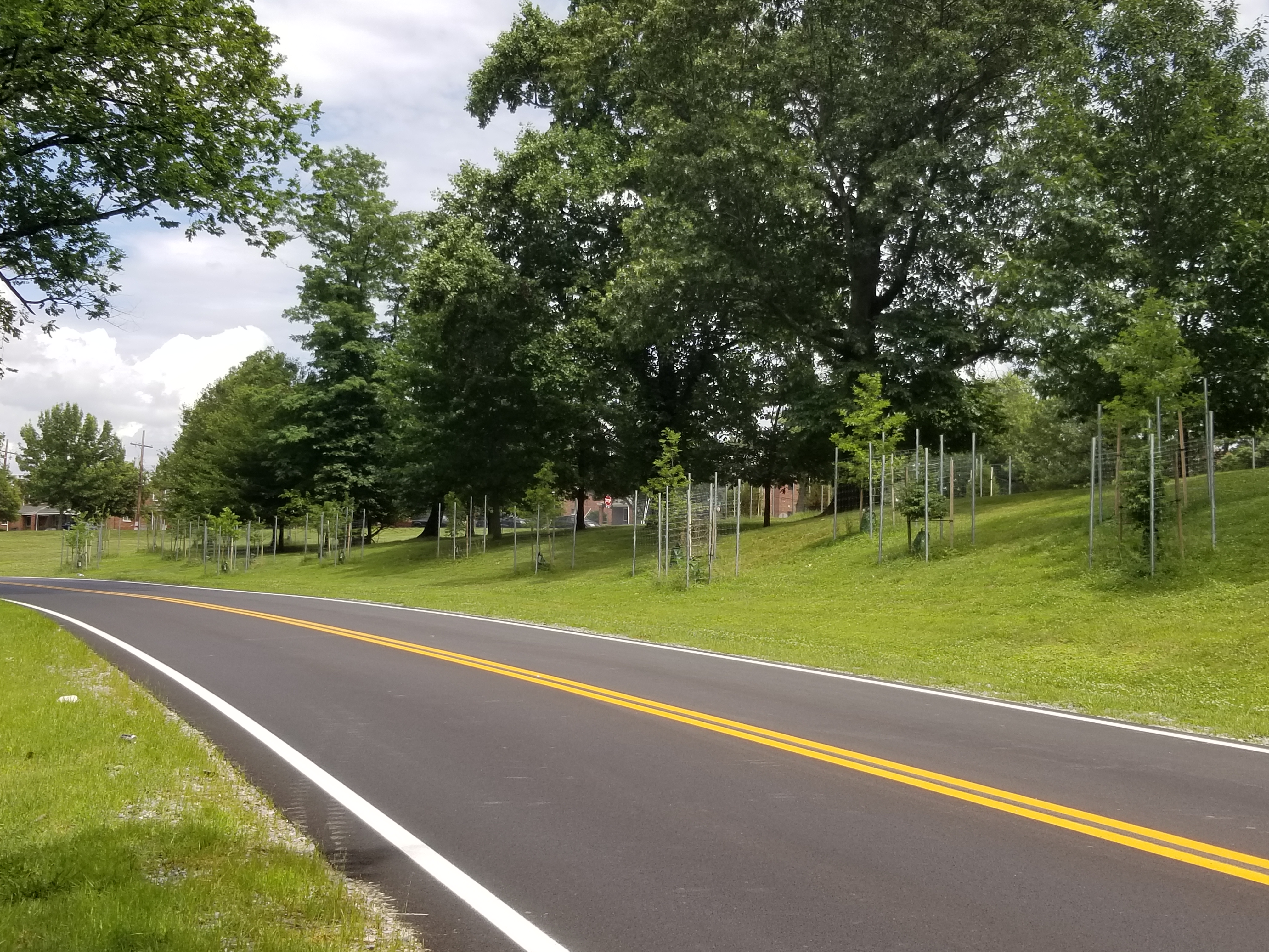 Completed road paving work in Fort Dupont Park in Southeast Washington, DC Freshly paved and painted asphalt road with newly planted trees nearby