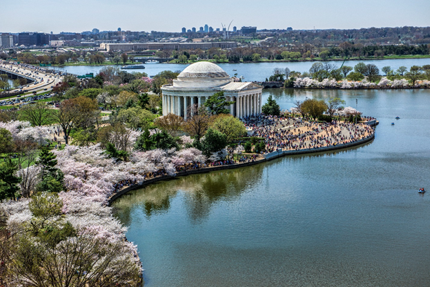 Visitors at the Thomas Jefferson Memorial during the Cherry Blossom Festival.