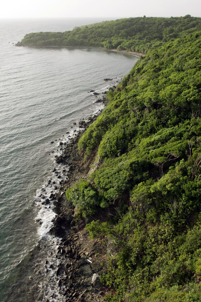Conservation Lands - PR rocky coastline between ocean and bright green forest