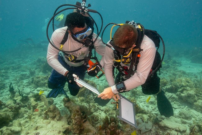 SEAC divers holding clipboards while underwater