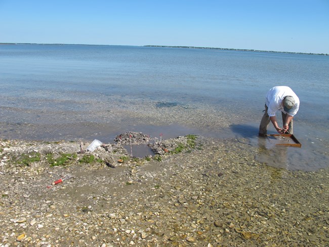 SEAC archeologist screening through a shell midden at Cape Lookout National Seashore