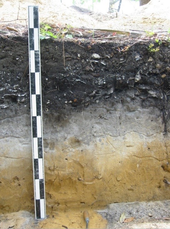 Example of stratigraphy in an archeological excavation unit