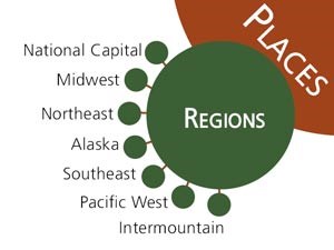 Regional branch of the program tree