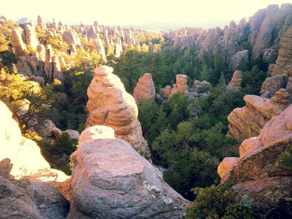 CHIR_NPS_HeartOfRocksTrail Trees and sandstone hoodoos viewed from the Heart of Rocks Trail in Chiricahua National Monument. NPS photo.