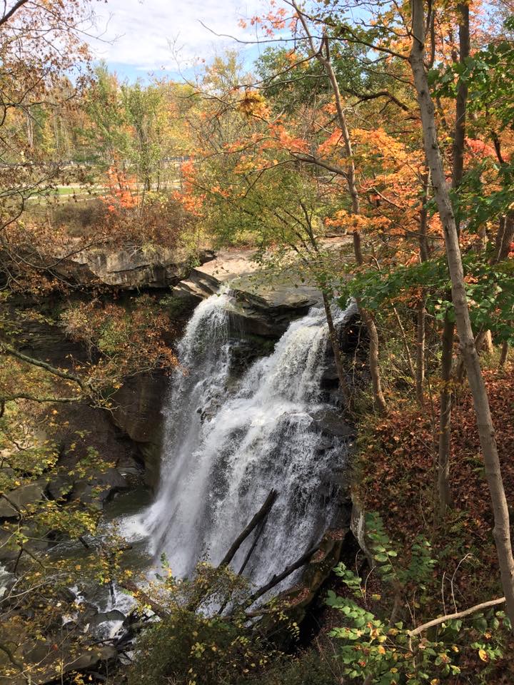 Trees surrounding a waterfall display fall colors. NPS photo.