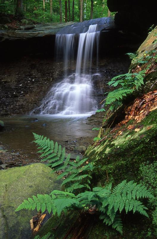 Blue Hen Falls during springtime in Cuyahoga Valley National Park. NPS photo. Blue Hen Falls during springtime in Cuyahoga Valley National Park. NPS photo.