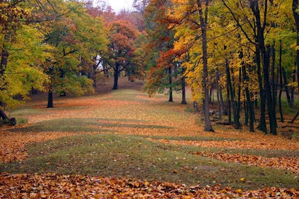 Fall colors paint the trees surrounding Marching Bear Mounds in Effigy Mounds National Monument. NPS photo.