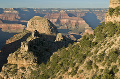 A remarkable collaborative effort enabled searchers to find the missing man west of Grand Canyon Village in Grand Canyon National Park. NPS photo by K Caldon.