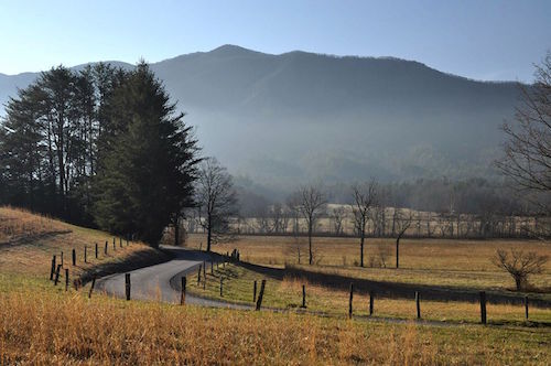 A roadway in Great Smoky Mountains National Park. NPS photo by J Bennett.