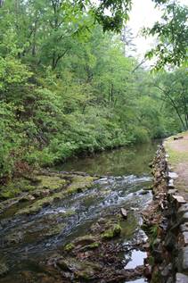 A tree-lined stream in Hot Springs National Park