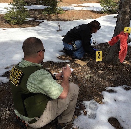 Detailers, Interns, and US Park Rangers work closely with ISB Special Agents to advance NPS criminal investigation skills. Detailers, Interns, and US Park Rangers work closely with ISB Special Agents to advance NPS criminal investigation skills.