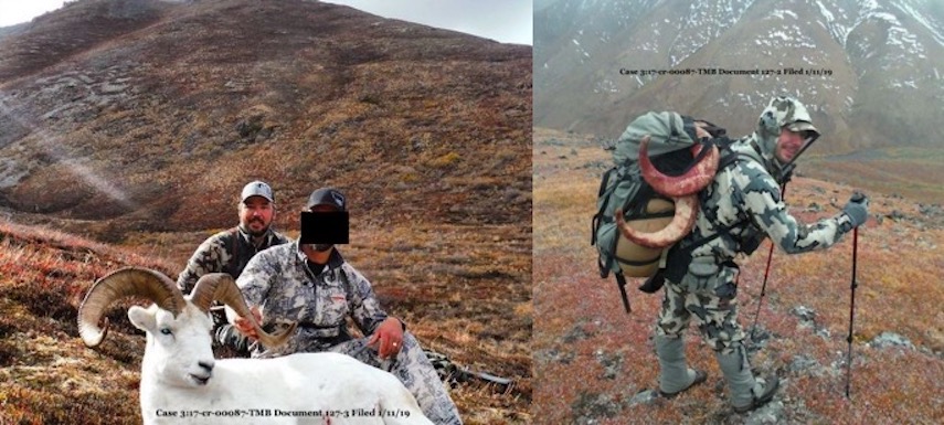 Court documents include images seized as evidence depicting one of the involved men posing with a deceased Dall sheep, and hiking with Dall sheep horns carried in a large backpack.