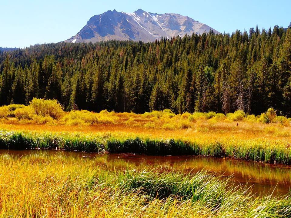 Fall colors in Lassen Volcanic National Park. NPS photo.