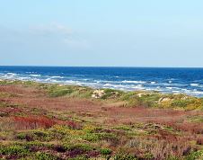 Padre Island National Seashore