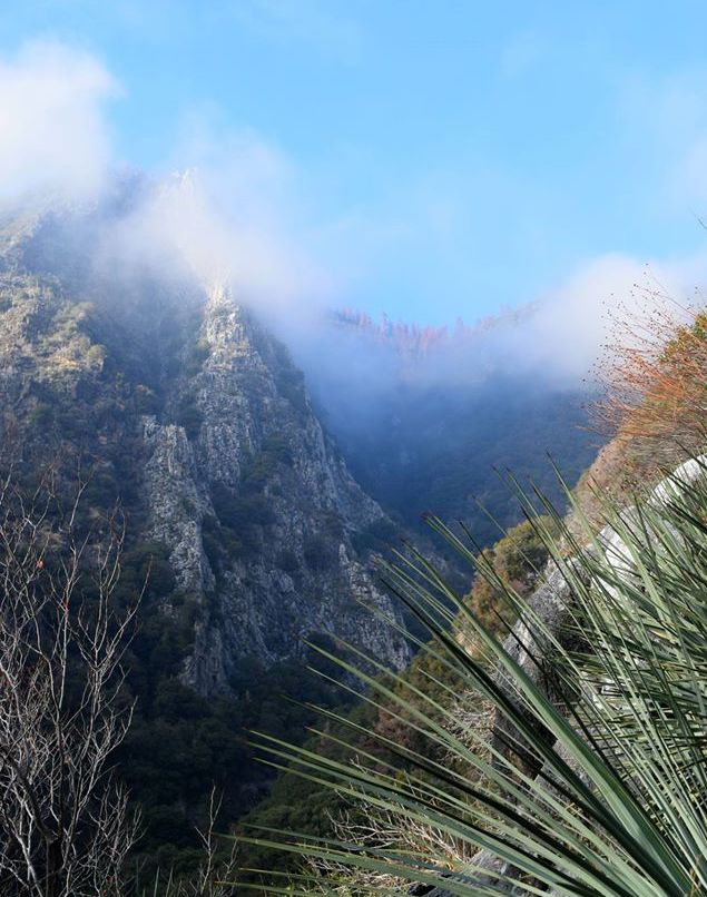 A winter view along the Marble Falls Trail in Sequoia-Kings Canyon National Parks. NPS photo.