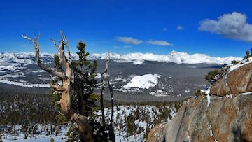 Wintertime in Tuolumne Meadows, Yosemite National Park. NPS photo.