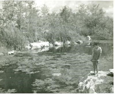 Young boy fishing in the park Young boy fishing in the park