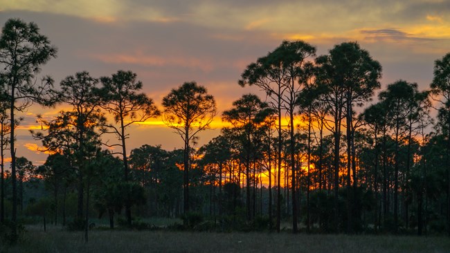 Big Cypress National Preserve