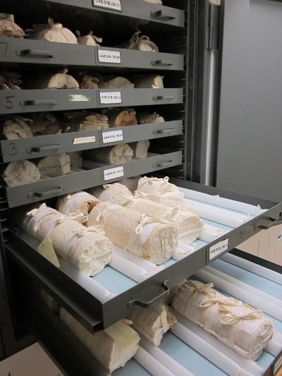 Biscayne Hudson coral core collection Biscayne Hudson coral core collection