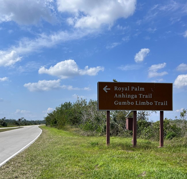 First available turn from Main Park Road, sign with left arrow pointing toward Royal Palm, Anhinga Trail, and Gumbo Limbo Trail