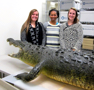 Interns Alexis Schuman, Kelly Delancy & Katie Matthew (left to right)