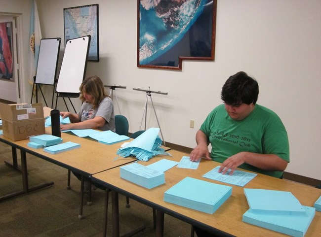 Two volunteers organizing the National Catalog binders