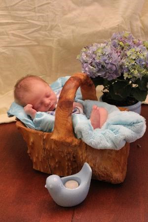 Baby Salvatore Anthony Ciolino Baby Salvatore Anthony Ciolino