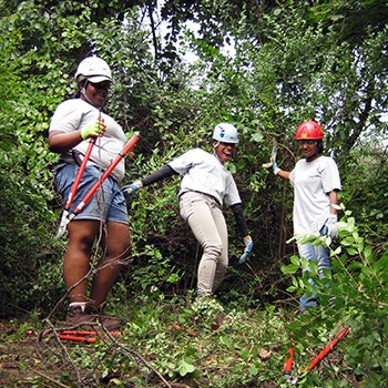 Three young people with safety gear and loppers stand in a clearing cut into dense brush