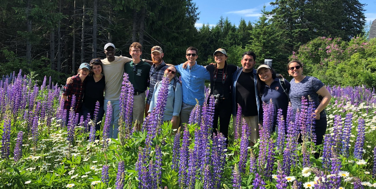 A smiling group of young people stand in a row with arms over each other's shoulders, surrounded by lupine and daisies.