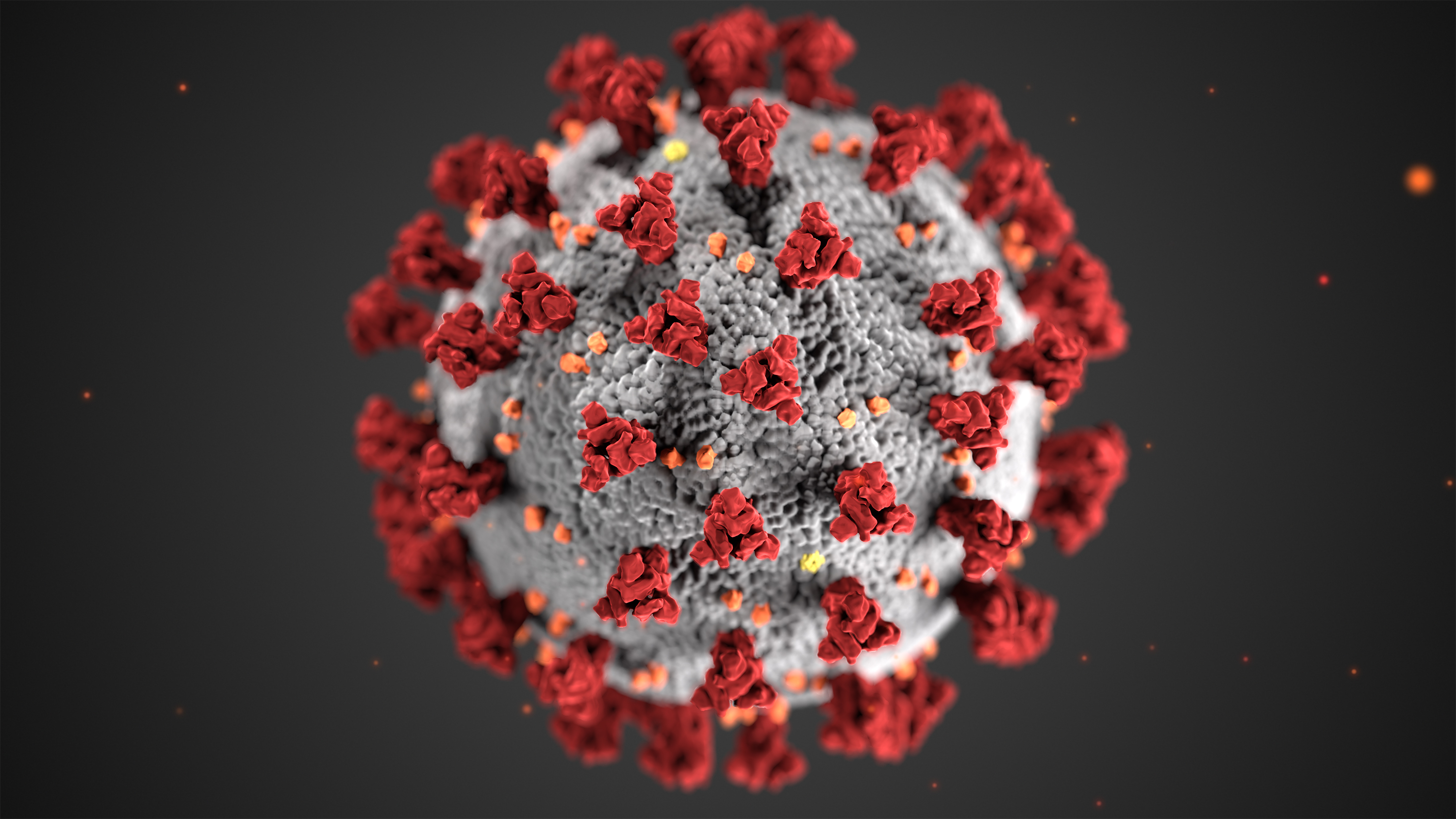 Image of corona virus. Courtesy CDC
