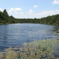 Ell Pond, a National Natural Landmark in Rhode Island. Ell Pond, a National Natural Landmark in Rhode Island.