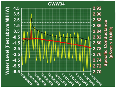 Figure 11b. GWW31 - Zoom View Figure 11b. GWW31 - Zoom View