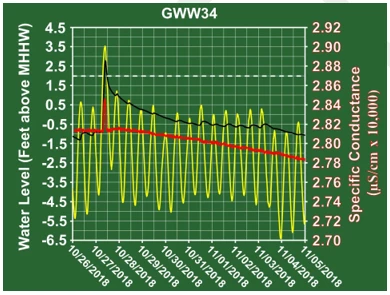 Figure 11b. GWW31 - Zoom View Figure 11b. GWW31 - Zoom View