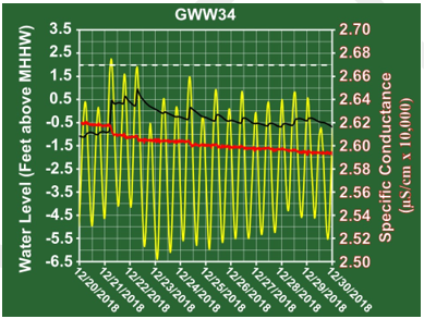 Figure 13b. GWW34 - Zoom View Figure 13b. GWW34 - Zoom View