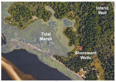 Figure 3. Position of the shoreward and inland wells relative to the tidal marsh