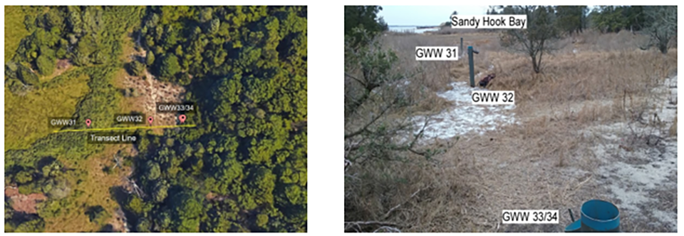 Figure 4a: Transect of shoreward wells.  Figure 4b: Landscape view of shoreward wells.