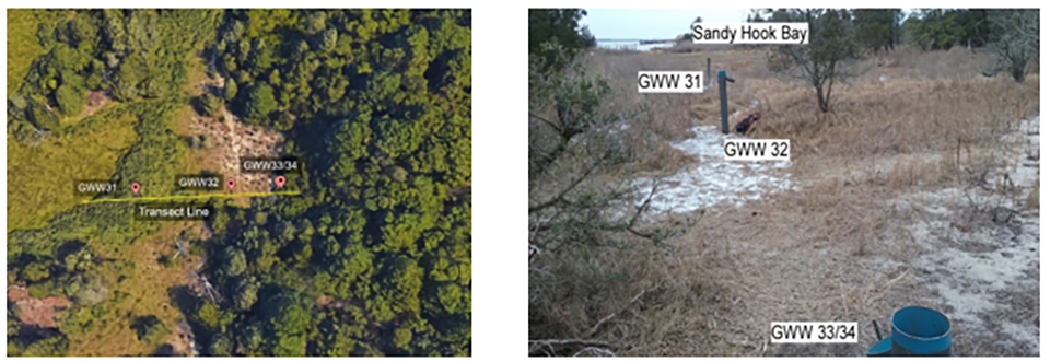 Figure 4a: Transect of shoreward wells. Figure 4b: Landscape view of shoreward wells. Figure 4a: Transect of shoreward wells. Figure 4b: Landscape view of shoreward wells.