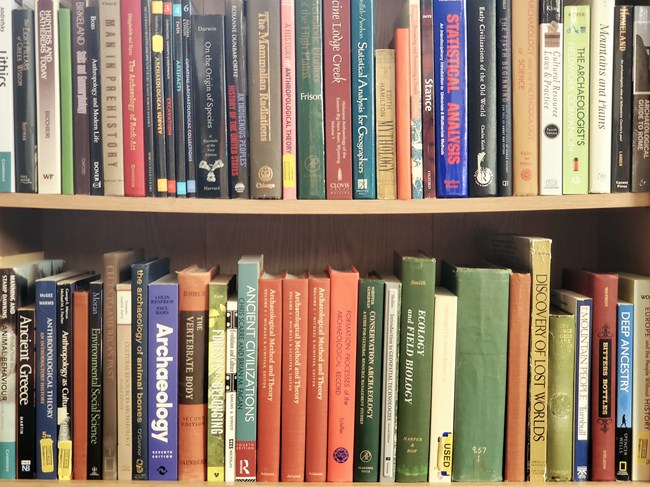 Variety of colorful archeological books stacked vertically on two wooden shelves