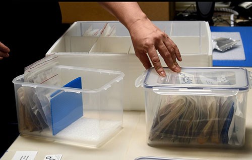 2 small plastic containers with artifacts inside on a table next to a larger storage box. A hand reaches into one of the containers.