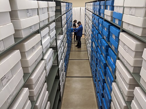 Two people stand at the end of a row of tall shelving units stacked with white and blue boxes. One person is pulling a box off the shelf.