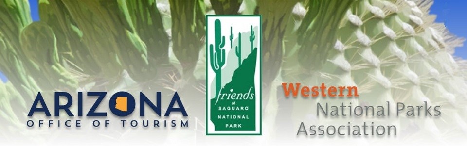 Three logos over a drawn saguaro cactus with flowers about to open Three logos over a drawn saguaro cactus with flowers about to open