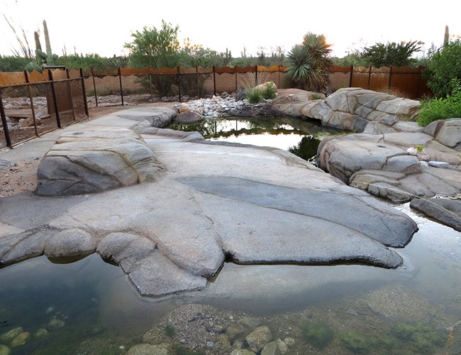 Man made tinaja at the DRLC A pool of water surrounded by stone.
