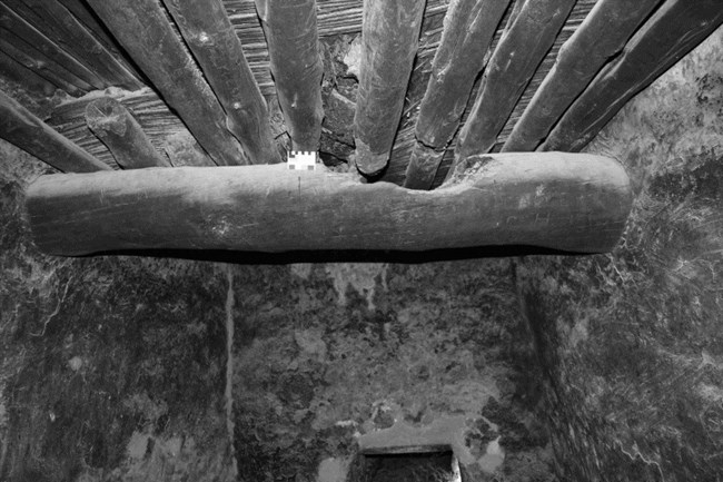 A black and white image of wooden roof beams.